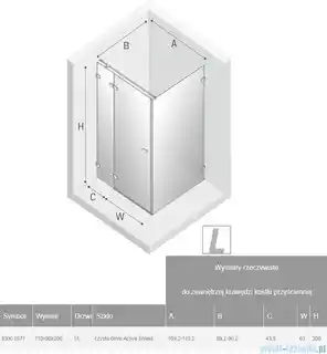 New Trendy Avexa Gold kabina prostokątna 110x90x200 cm przejrzyste lewa EXK-1871