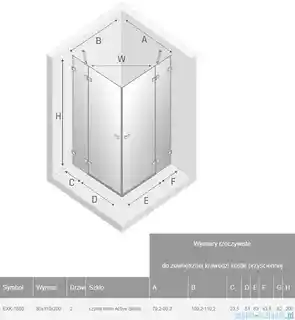 New Trendy Avexa Gold Shine kabina prostokątna 80x110x200 cm, szkło przejrzyste, EXK 1860