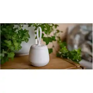 Newell Lampka nocna LED SeleneDream NL4496