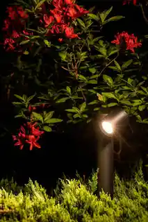 Nowodvorski Lampa ogrodowa TUBINGS 8158