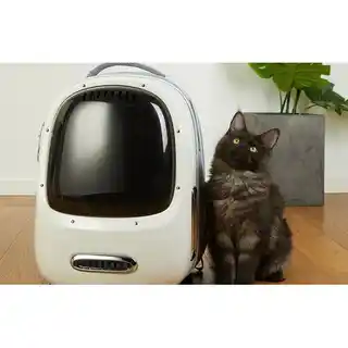 Petkit Transporter Breezy 2 Kremowy