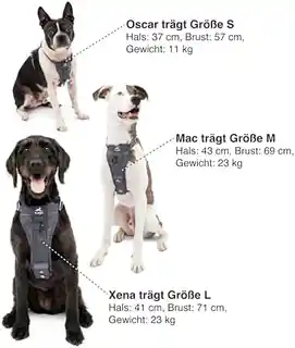 Petsafe automatyczny dozownik Smart Feed 2.0, programowalny, pojemność 2 litry, kompatybilny z aplikacją, dla psów