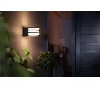 Philips Hue White Lucca Kinkiet zewnętrzny