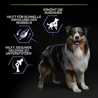 Pro Plan PURINA All Size Adult Performance, kurczak i ryż - 14 kg