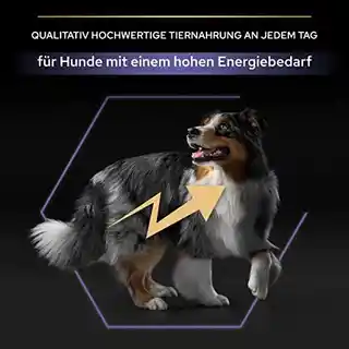 Pro Plan PURINA All Size Adult Performance, kurczak i ryż - 14 kg