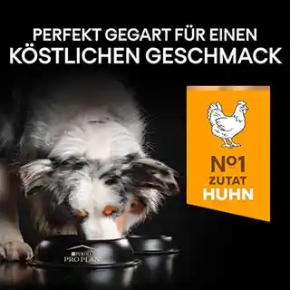 Pro Plan PURINA All Size Adult Performance, kurczak i ryż - 14 kg