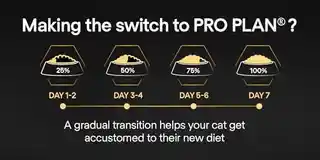 Pro Plan PURINA Senior 7 plus Longevis łosoś - 3 kg karma sucha