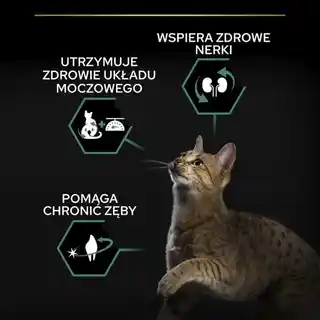 Purina Nestle PURINA Pro Plan Sterilised Renal Plus Królik - sucha karma dla kota - 10 kg