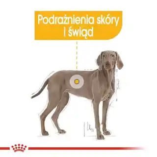 Royal Canin Care Nutrition Royal Canin Maxi Dermacomfort - 12 kg