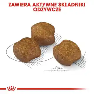 Royal Canin CCN Medium Dental Care 10kg
