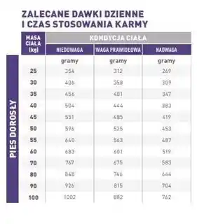 Royal Canin Dog Adult Large 13kg karma sucha dla psów