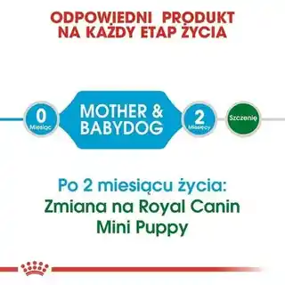 Royal Canin Mini Starter Karma dla psa, sucha, dla szczeniąt i suk w ciąży, 4 kg