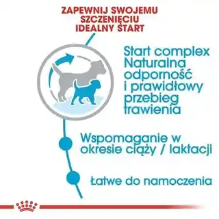 Royal Canin Mini Starter Karma dla psa, sucha, dla szczeniąt i suk w ciąży, 4 kg