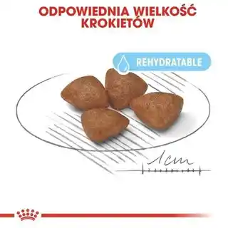 Royal Canin Mini Starter Karma dla psa, sucha, dla szczeniąt i suk w ciąży, 4 kg