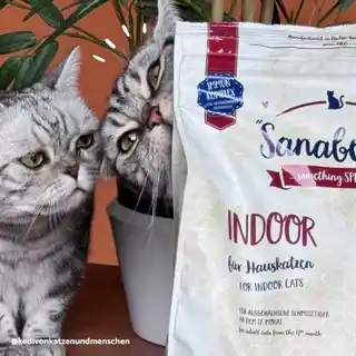 Sanabelle Karma sucha dla kota Indoor 10 kg