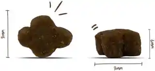 Sanabelle Karma z kurczakiem dla kociąt 10 kg sucha
