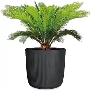 Scheurich Linetto 30 doniczka na rośliny okrągła Stony Black czarna w prążki
