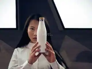 Sigg butelka Meridian White 0,5 litra, model 8999.10, stal nierdzewna, izolacja próżniowa, bez BPA