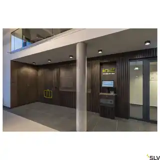SLV Lampa sufitowa FERA 25 CL DALI 1002968