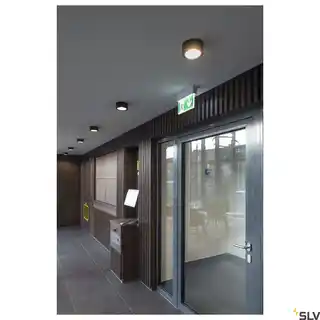SLV Lampa sufitowa FERA 25 CL DALI 1002968