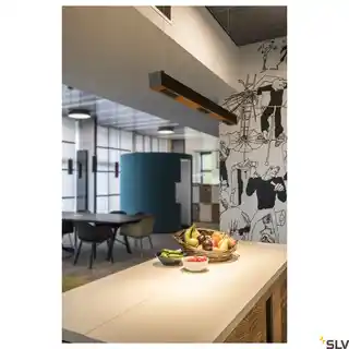 SLV Lampa wisząca biurowa Q-LINE 1000926