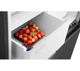 TCL Lodówka SBS RC452CSD0 190cm Srebrny Lodówka