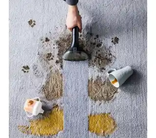 Tefal urządzenie do usuwania plam IZ5020 750W Odkurzacz piorący