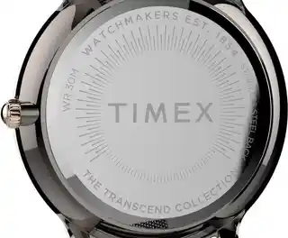 Timex TW2T74000