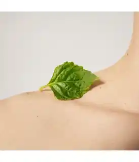 Tommy Hilfiger Tommy Cologne Spray Woda toaletowa 50 ml