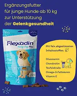 Vetoquinol Flexadin Young Dog Maxi 60 kęsów dla psa wsparcie stawów