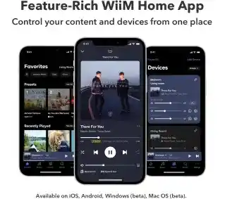 WiiM Ultra Silver sieciowy odtwarzacz audio, Wiim, wysokiej rozdzielczości, obsługa DLNA, Wi-Fi, Bluetooth, 100W, zdalne sterowanie