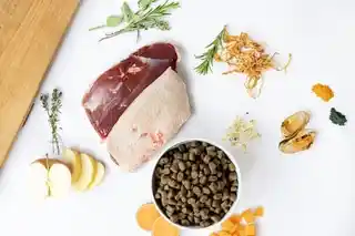 Ydolo Duck Kaczka karma półwilgotna dla psa 2,5kg