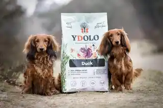 Ydolo Duck Kaczka karma półwilgotna dla psa 2,5kg