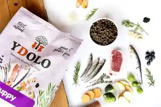 Ydolo Healthy Pure Puppy karma półwilgotna wieprzowina Iberico ryby 2,5kg dla szczeniąt