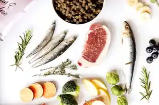 Ydolo Healthy Pure Puppy karma półwilgotna wieprzowina Iberico ryby 2,5kg dla szczeniąt