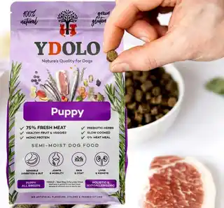Ydolo Healthy Pure Puppy karma półwilgotna wieprzowina Iberico ryby 2,5kg dla szczeniąt