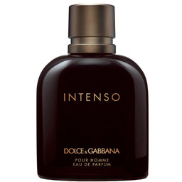Dolce & Gabbana pour Homme Intenso woda perfumowana