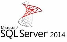 Microsoft SQL Server 2014 Standard + 20 User