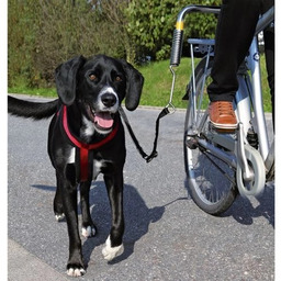 Trixie Zestaw Rowerowy