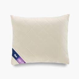 Poduszka antyalergiczna 50x70 Mikrofibra pikowana 550g kremowa AMZ