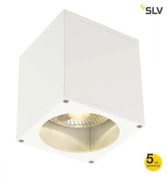 Oprawa sufitowa BIG THEO CEILING OUT 229551 -