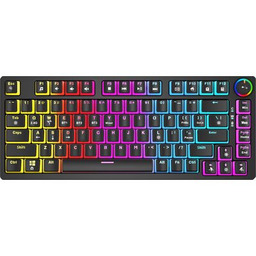 SAVIO PHENIX Gateron Red Pro, Pudding