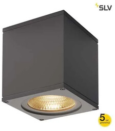 Oprawa sufitowa BIG THEO CEILING 234535 - SLV