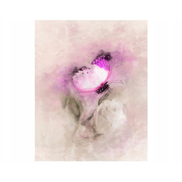 Obraz Rose Butterfly motyl pastelowy księżniczka