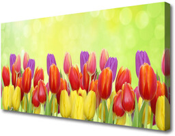 Obraz Canvas Tulipany Kwiaty Roślina