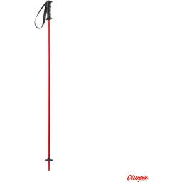 Kije Narciarskie Nordica Junior Jr