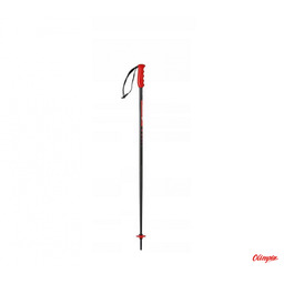 Kije narciarskie juniorskie Nordica Race