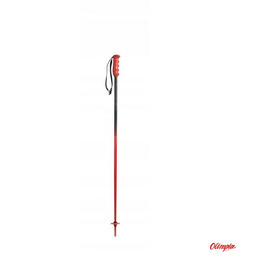 Kije narciarskie juniorskie Nordica Race