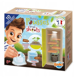 Mała Szklarnia Obserwacja Wzrostu Roślinki Buki