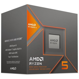 AMD Ryzen 5 8600G